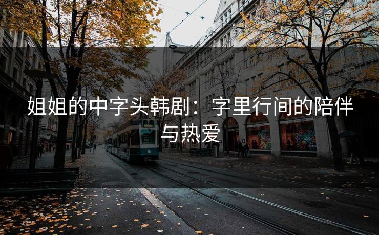 姐姐的中字头韩剧：字里行间的陪伴与热爱